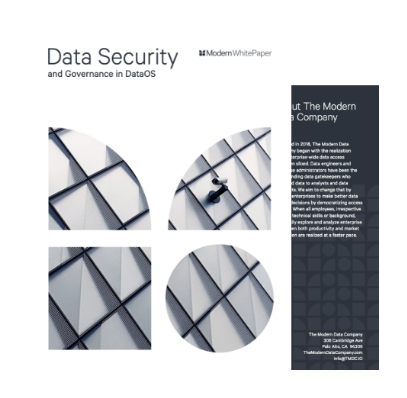 whitepaper-data-security